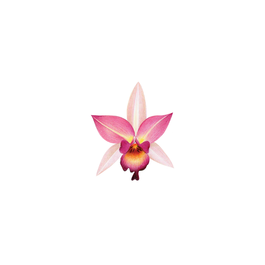 Pink Orchid Tattoo
